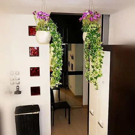 Ditton Apartment City Center Apartment *